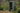 Darwin 44 Tuinhuis - 125,8x117x205 cm - Groen